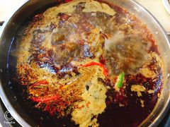 -蜀滋香鲜鱼美蛙火锅(339店)