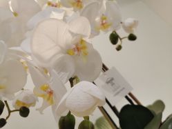 -MIVI半永久纹眉绣眉