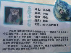 -青藏高原野生动物园
