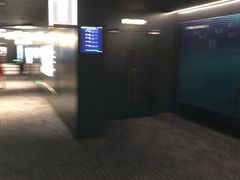 -奥斯卡升龙国际影城(RealD Cinema)