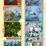 比买的好吃一万倍的超简单酥掉渣馄饨皮小油饼！