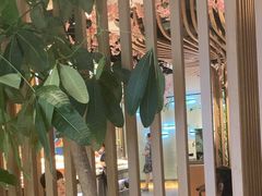 -松子料理(华威桥店)