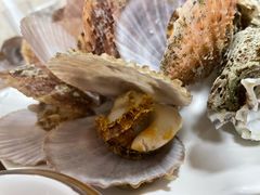 清蒸扇贝-宾朋海鲜饭庄(兴海路店)