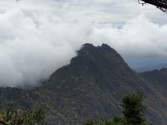 -秦岭天竺山景区