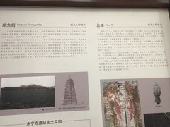 -洛阳古墓博物馆