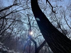-终南山南五台景区