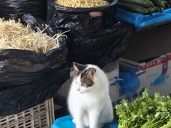 -葑门横街
