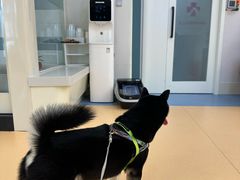 -全心全意动物诊疗中心医院(北苑店)