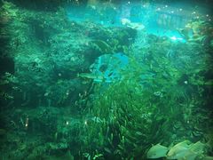 -成都浩海立方海洋公园