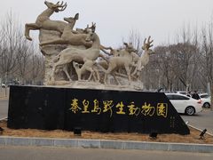 -秦皇岛野生动物园