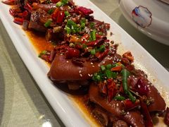 -宏宴·新京菜(望京店)