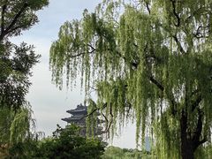 -济南大明湖景区