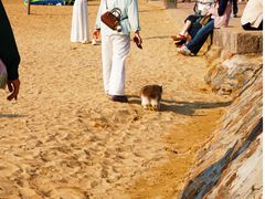 -青岛第二海水浴场