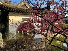 -红梅公园