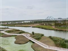 -春花秋色城市公园