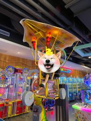 -卡通尼乐园(上海万象城店)