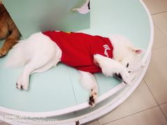 -怪兽屋·羊驼·猫咖·狗咖(俊华广场店)