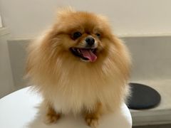 -comecome来吧宠物(奥克斯中心店)