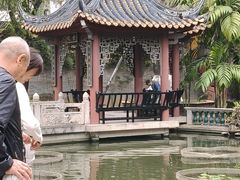 -碧江金楼