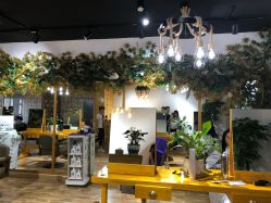 -明洞造型精品烫染