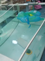 -海豚啵啵体智能游泳馆(惠山万达广场店)