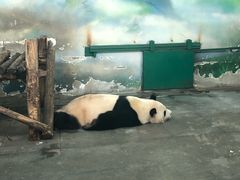 -无锡动物园·太湖欢乐园