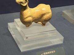 -温州博物馆