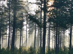 -塞罕坝国家级自然保护区