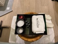 -奥斯芬欧系贵族SPA