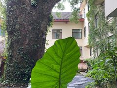 -普陀山雷迪森庄园
