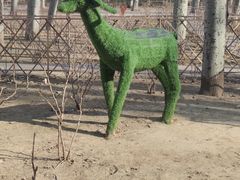 -仁和公园(顺义区)