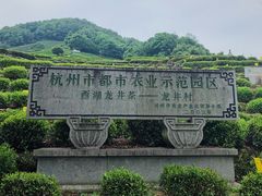 -龙井村