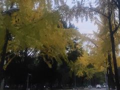 -四川大学(望江校区)