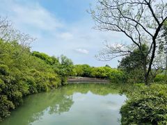 -西溪国家湿地公园