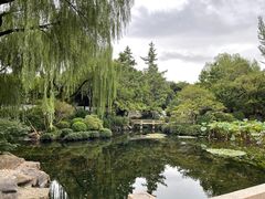 -秋霞圃