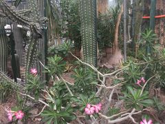 -北京植物园-展览温室