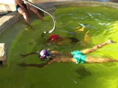 -国羽恒温游泳水疗馆