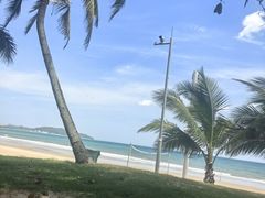 -三亚海棠湾万丽度假酒店