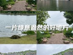 -上海辰山植物园