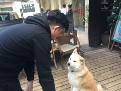 -久馆NineHouse