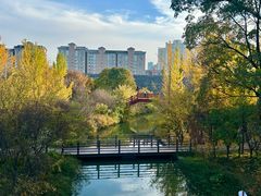 -洛阳市隋唐城遗址植物园