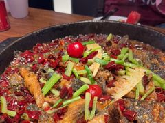 -老板恋上鱼(恒隆广场店)