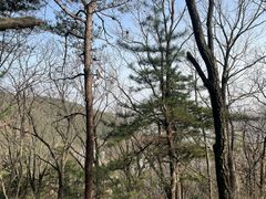 -罗田薄刀峰风景区
