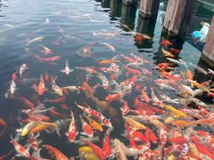 -宁波杭州湾国家湿地公园