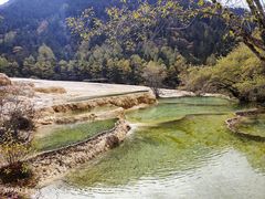 -西姆山居酒店(九寨沟沟口店)