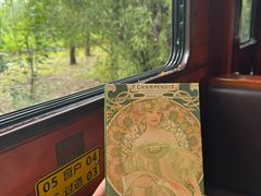 -合肥滨湖国家森林公园