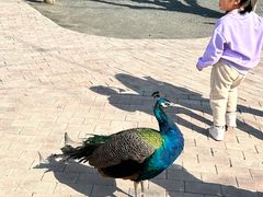 -水上乐园·欢乐世界