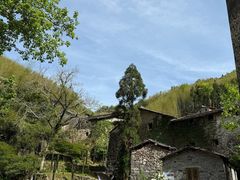 -MOJ coffee(瓯海泽雅水碓坑店)