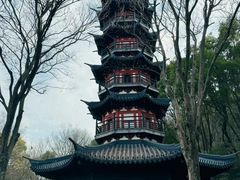 -上海佘山国家森林公园西佘山园