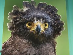 -中国湿地博物馆